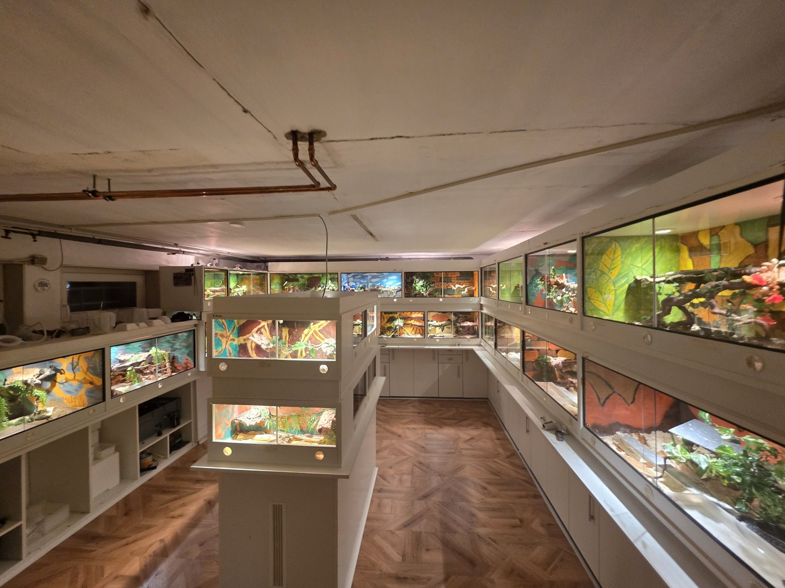 Unsere Terrarien