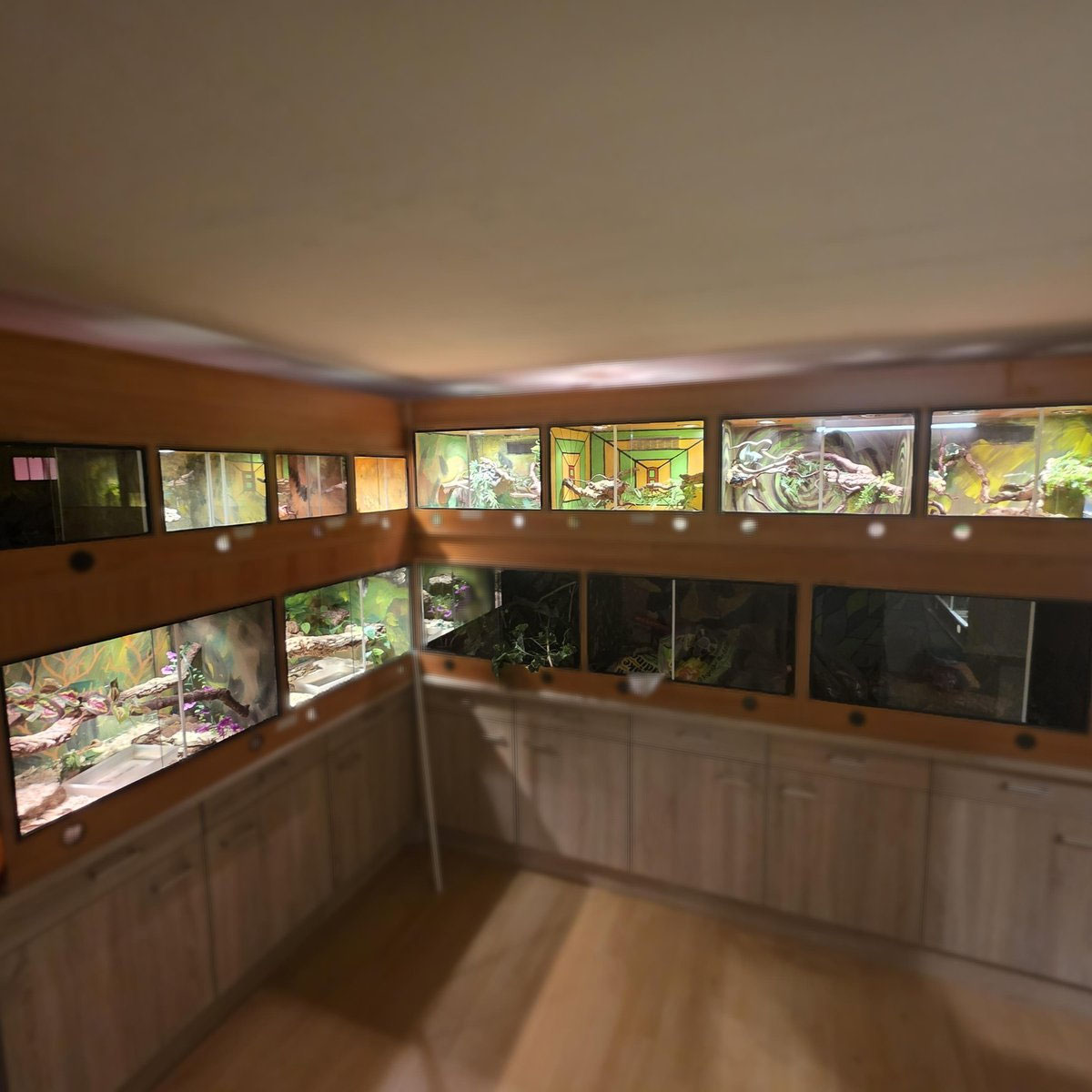 Unsere Terrarien
